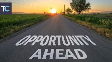 Trueman Landscape Website Blogs 45