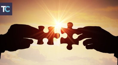 Trueman Landscape Website Blogs 9c