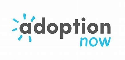 Regional Adoption Agency Logo